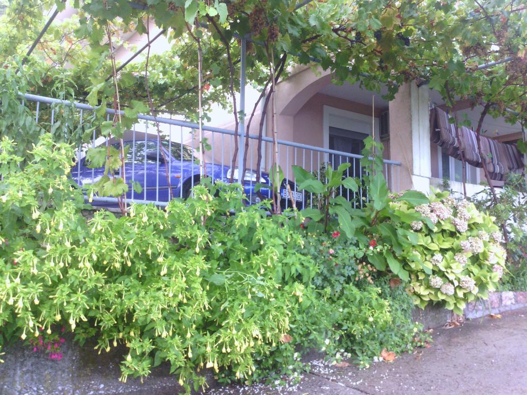 Apartments Mitrovic Podlicak Sveti Stefan Ngoại thất bức ảnh